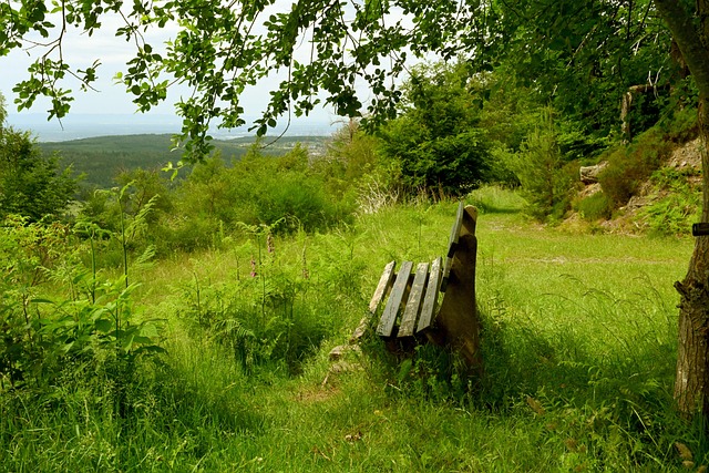 賽場內外的 賽場內外的