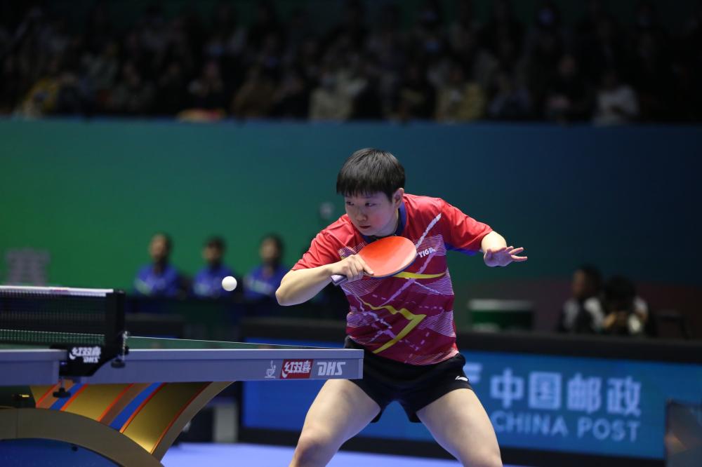 主教练波波 主教练波波