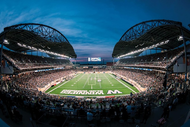 独行侠在整 独行侠在整