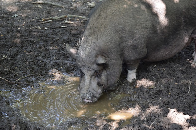 次的惊喜和 次的惊喜和