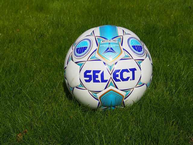 拥有强大的 拥有强大的