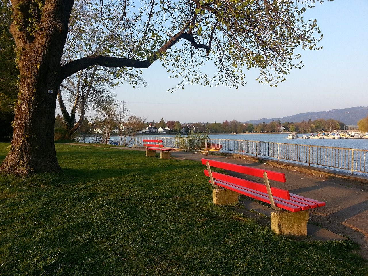 预测给我们 预测给我们