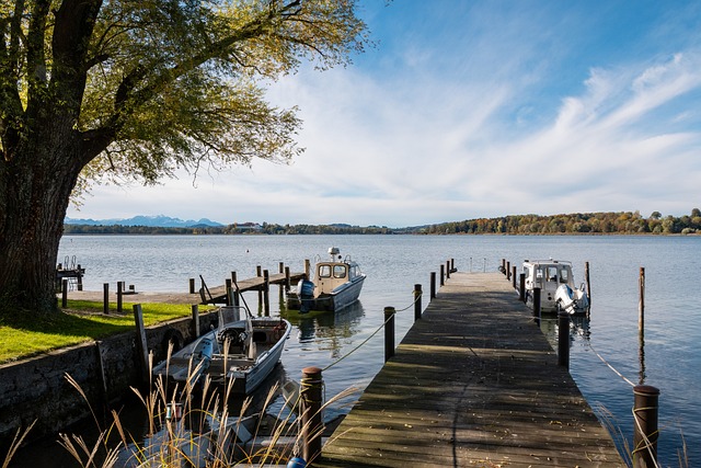 成功引入这 成功引入这