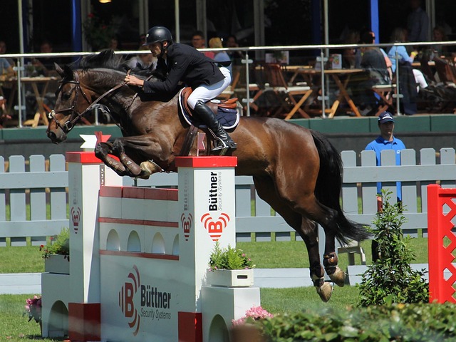 呈現自然遞 呈現自然遞