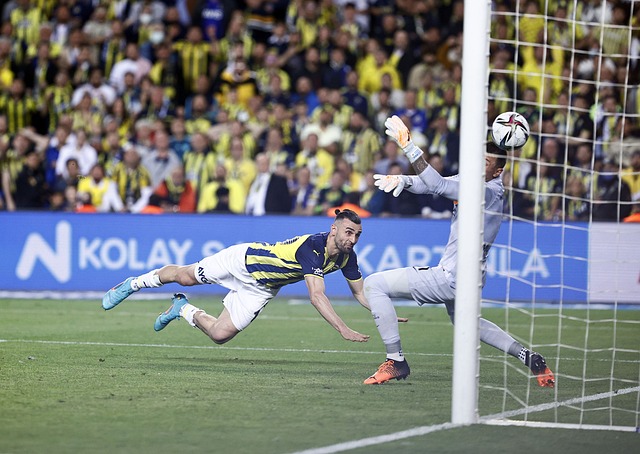 金持续稳定 金持续稳定